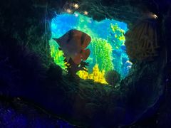 -上海儿童博物馆