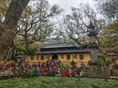 -普陀山风景名胜区-法雨禅寺