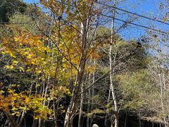 -玉渡山自然风景区