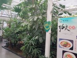点击看大图 -特味村·宴会厅(生态园店)