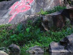 -梧桐山风景名胜区