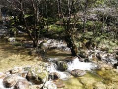 -牛背梁国家森林公园