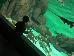-常州海昌海洋探索馆