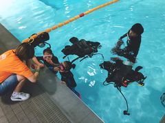 -上海潜殿潜水中心