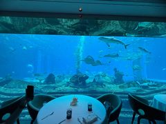 -亚特兰蒂斯•OSSIANO奥西亚诺海底餐厅
