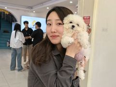 -翊宠yipet猫狗购宠庄园