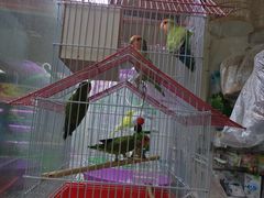 -三旗百汇商品城