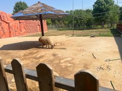 -宿豫区运河湾森林动物园