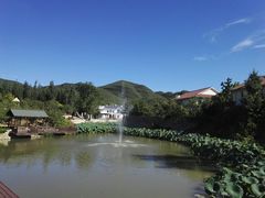 -静之湖湖畔餐厅