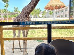 -西霞口神雕山野生动物世界