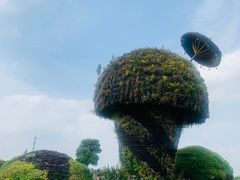 -周浦花海-停车场