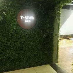 -V-STAR威斯达•高级私人定制