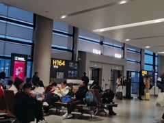 -上海浦东国际机场-T2航站楼