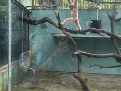 -宁波野生动物园