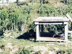 -石家庄市动物园