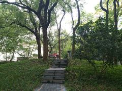 -徐家汇源景区-衡山公园