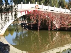 -大兴滨河森林公园