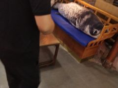 -坛宗剁椒鱼头(河西王府井店)