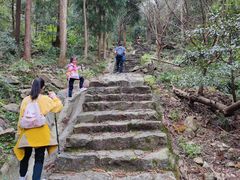 -北仑森林植物园