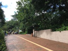 -九龙公园