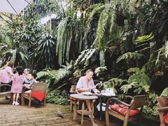 -Fern Forest Cafe