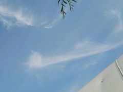 -丰台科技园生态主题公园