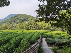 -西湖风景区十里琅珰-五云山