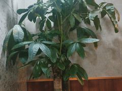 -德克士(亚中商城店)