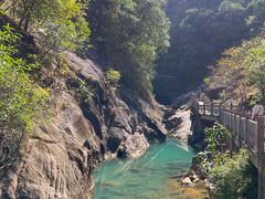 -广州白江湖森林公园