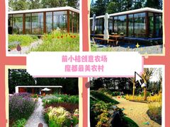 -前小桔亲子创意农场·草莓采摘·露营烧烤