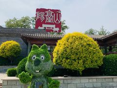 -阳台山自然风景区