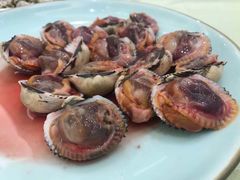 -高佳庄·舟山海鲜(海景旗舰店)