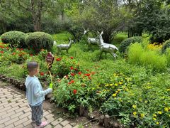 -阿尔丁植物园