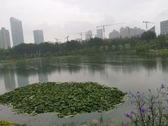 -后襄河公园