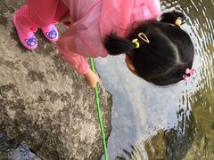 -碓臼峪自然风景区