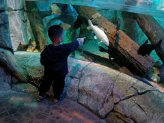 -沈阳海洋探索中心