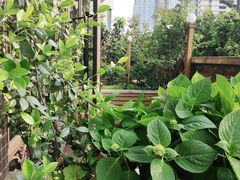 -欧洲房子(宜必思店)