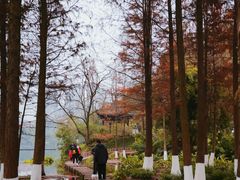 -重庆彩云湖湿地公园