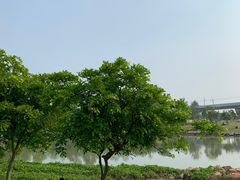 -宝安西湾红树林湿地公园