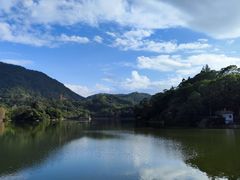 -深圳仙湖植物园