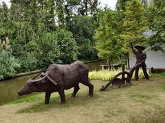 -上海长兴岛郊野公园