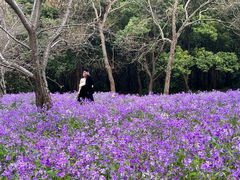 -上海滨江森林公园