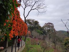 -桃花涧
