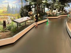 -陕西自然博物馆