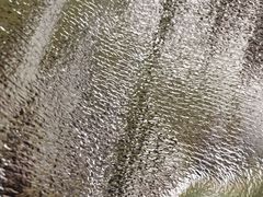 -金百万烤鸭店(马甸店)