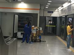 -杨高南路(地铁站)