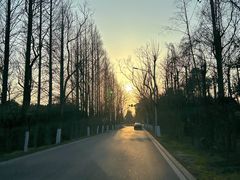 -上海海湾国家森林公园