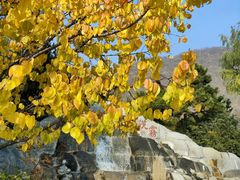 -天津盘山风景名胜区