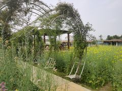 -洪湖家庭农场·团建·露营·会议