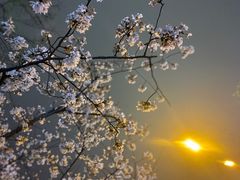 -肥叔锅贴(上沙路店)